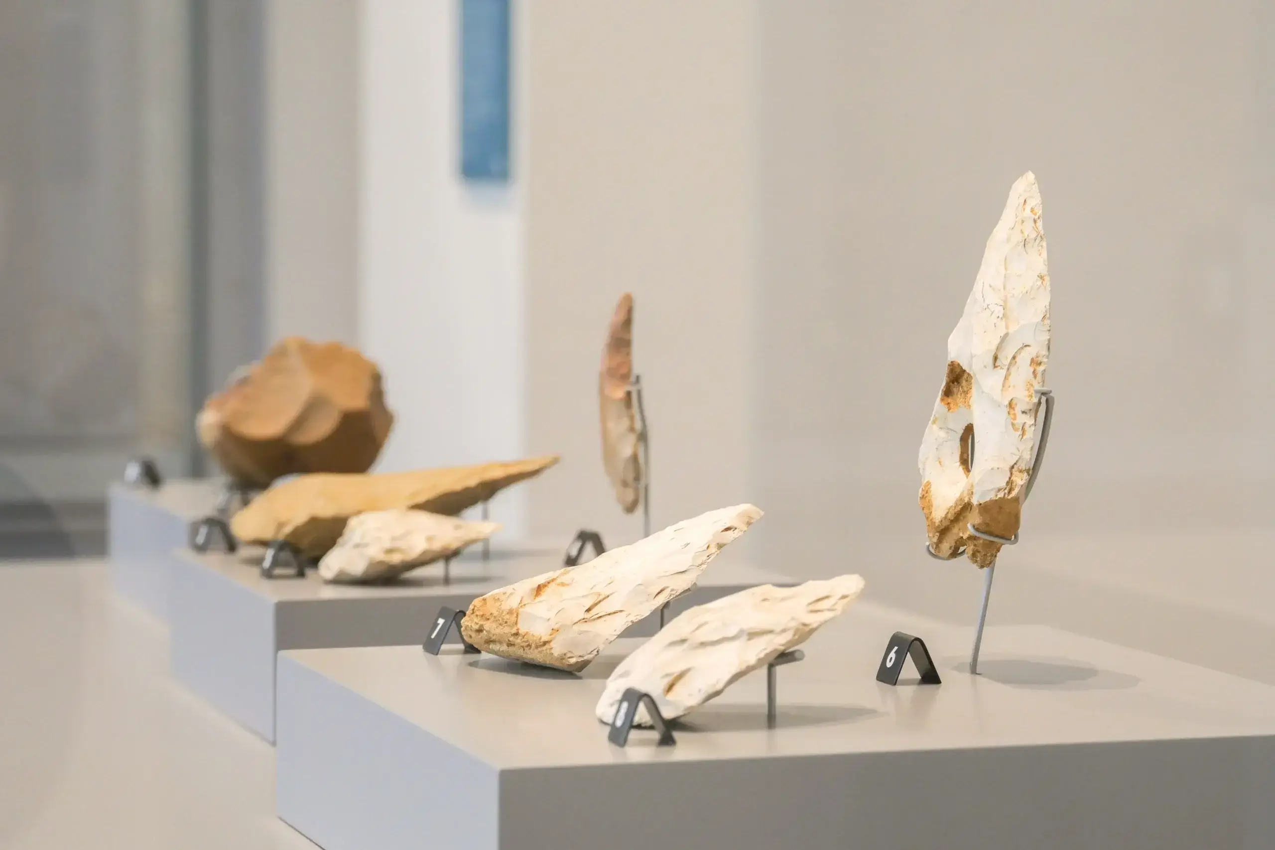Archéologie