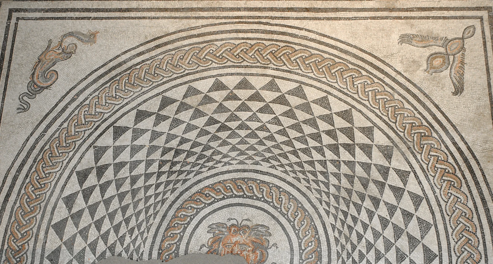 Mosaïque de méduse