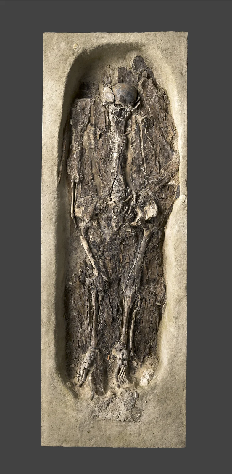 Sépulture gauloise