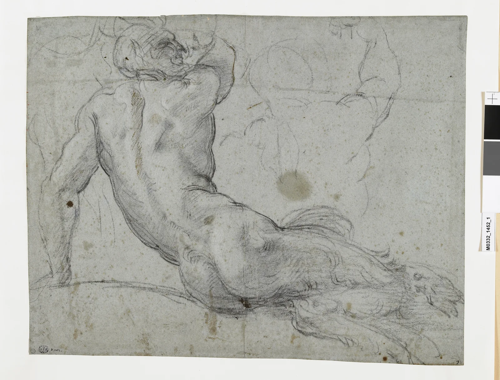 Satyre étendu
