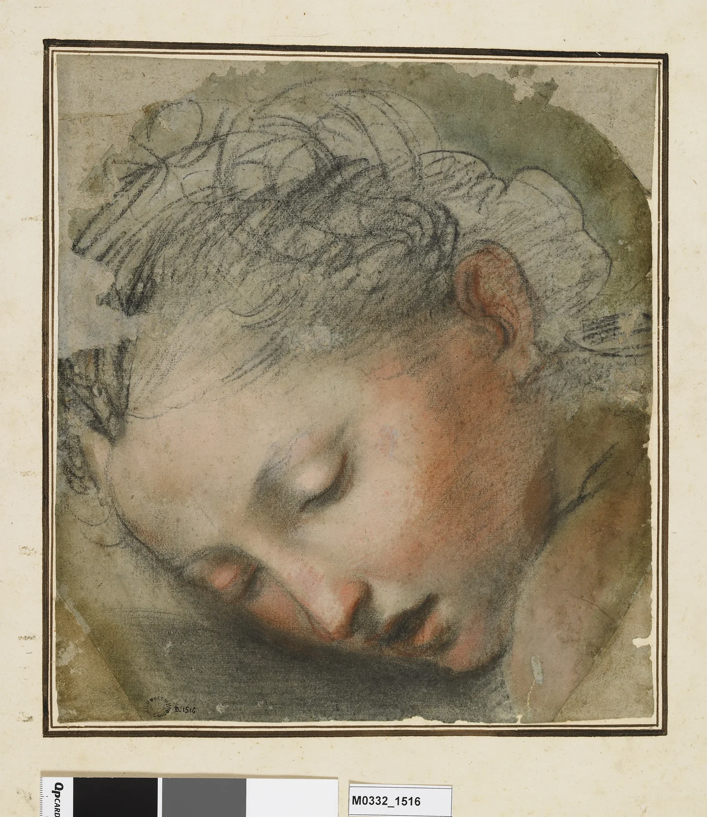 Tête de femme, étude pour la Déposition de la cathédrale de Pérouse