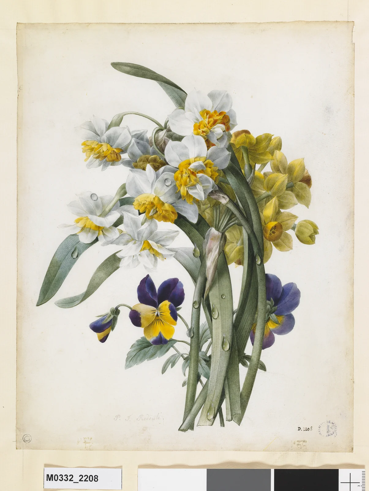 Bouquet de fleurs : narcisses hybrides et pensées