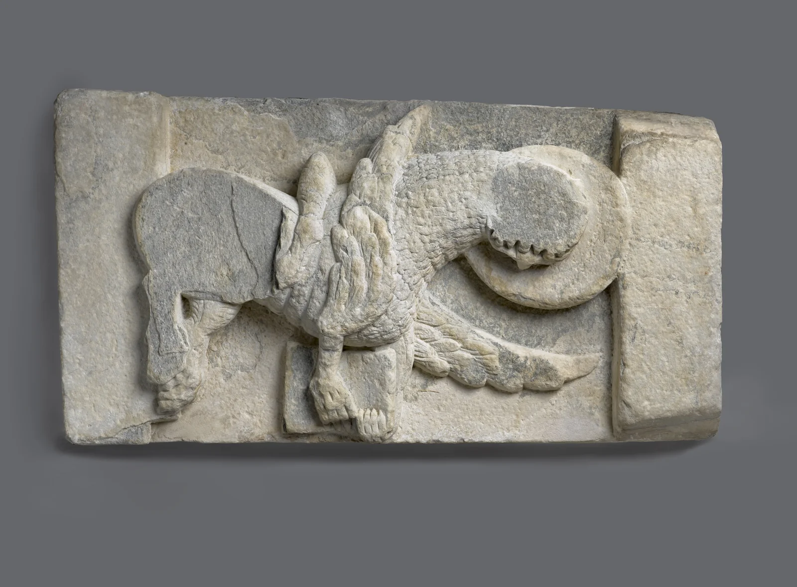 Lion de saint Marc