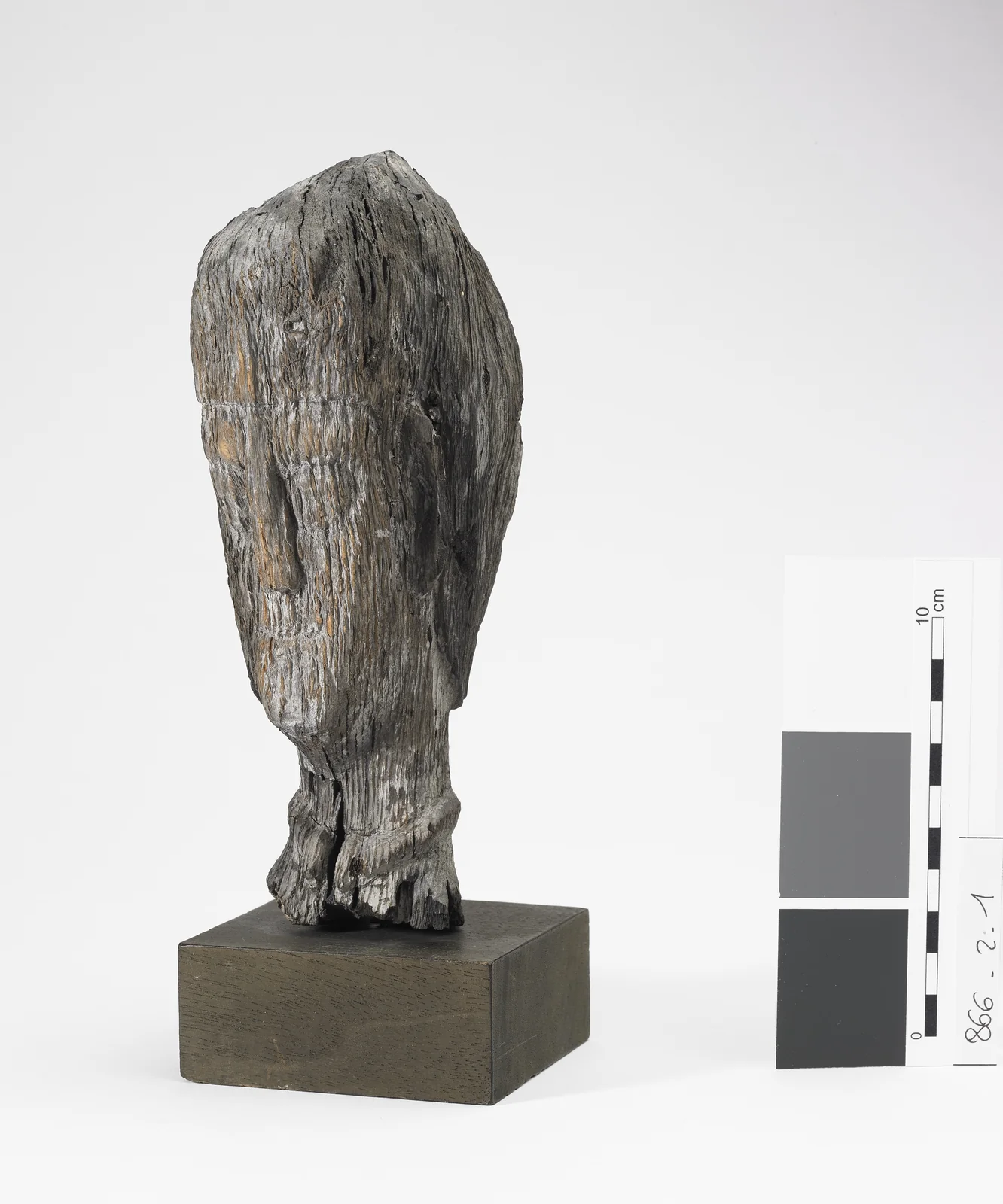 Ex-voto anatomique