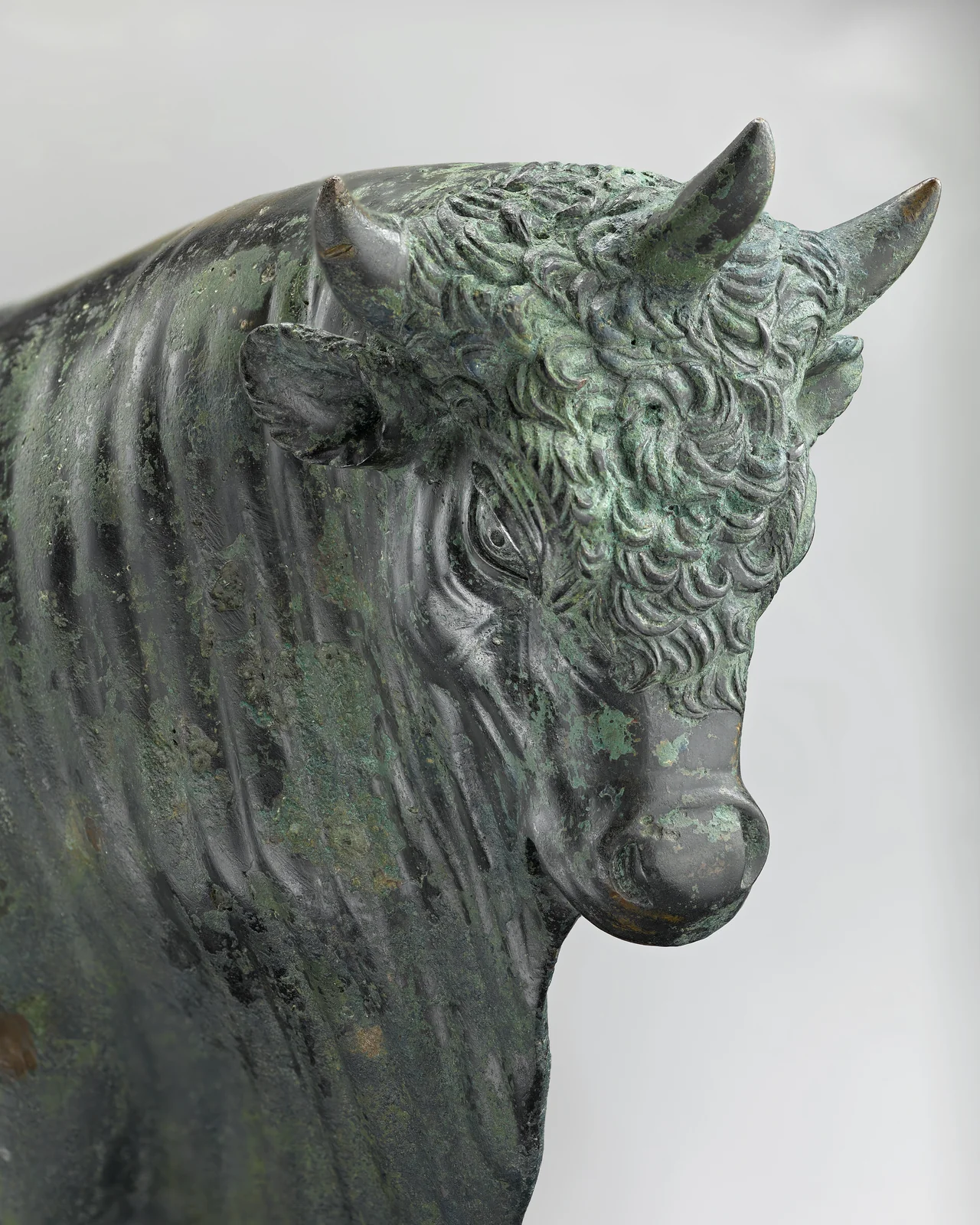 Taureau d'avrigney