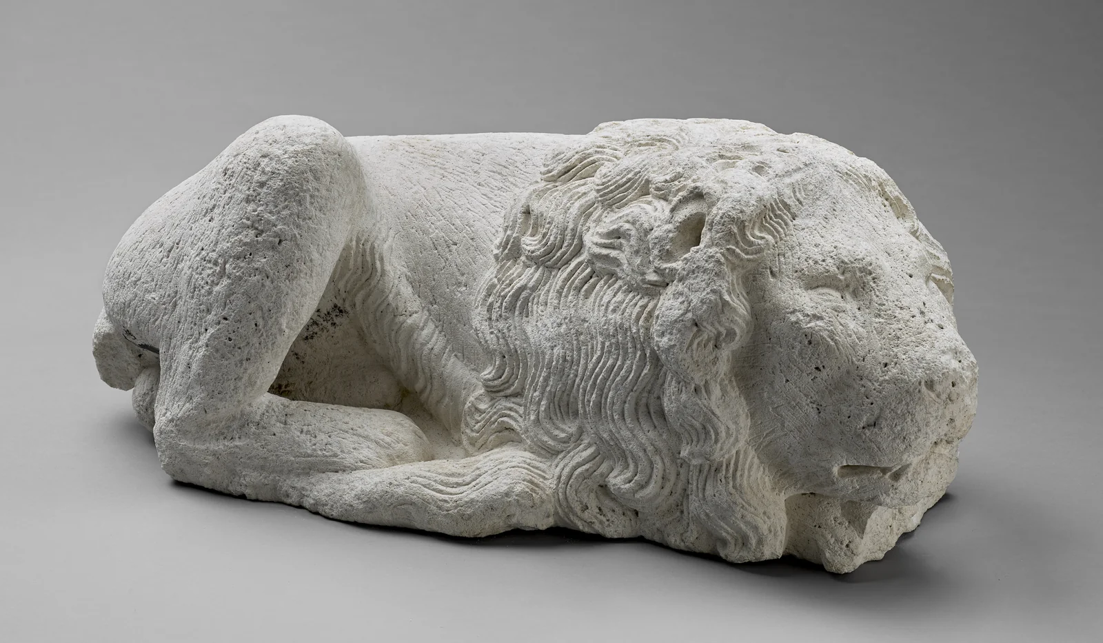 Lion couché